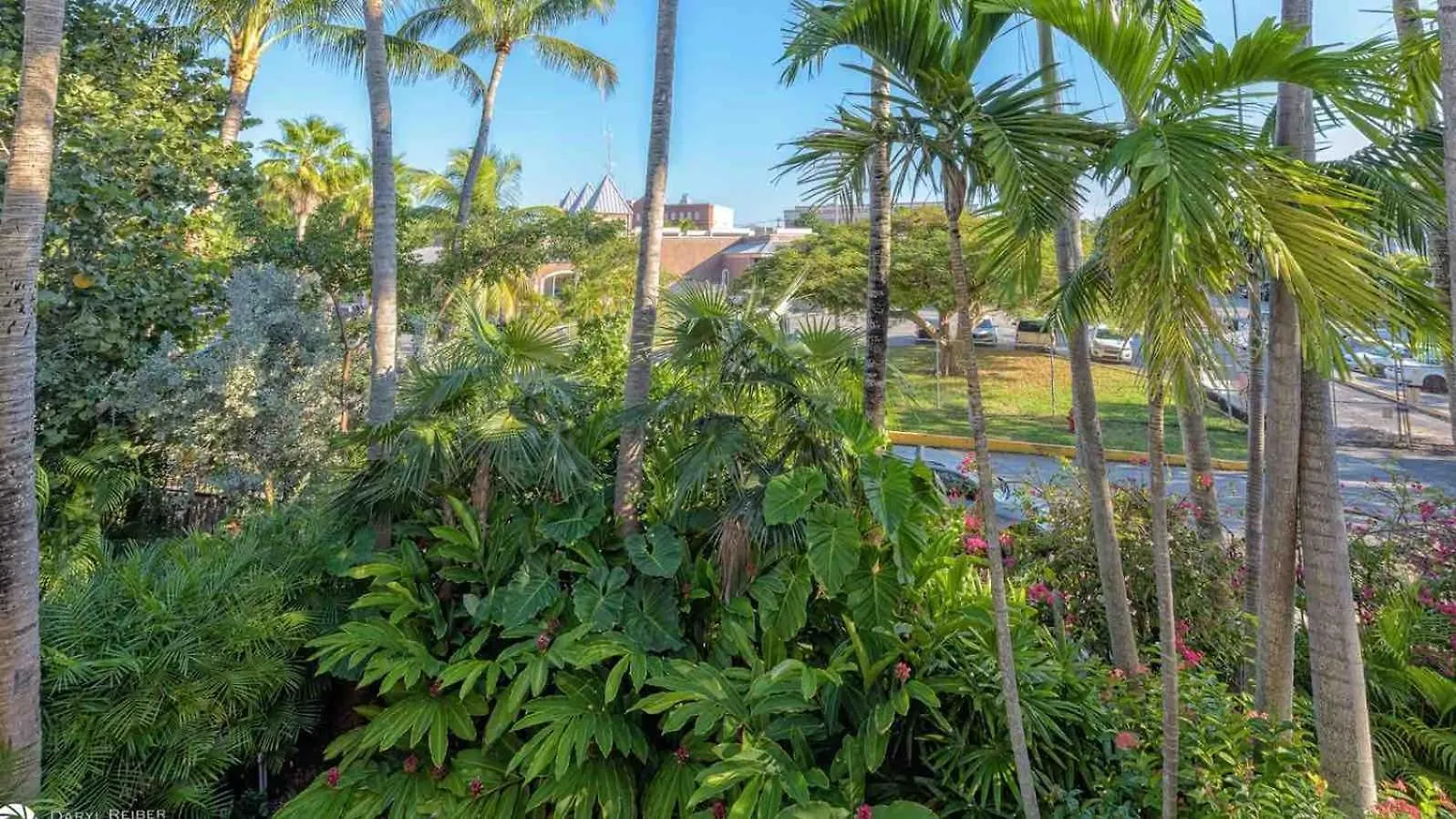 Jasmine Jule By Last Key Realty Key West USA